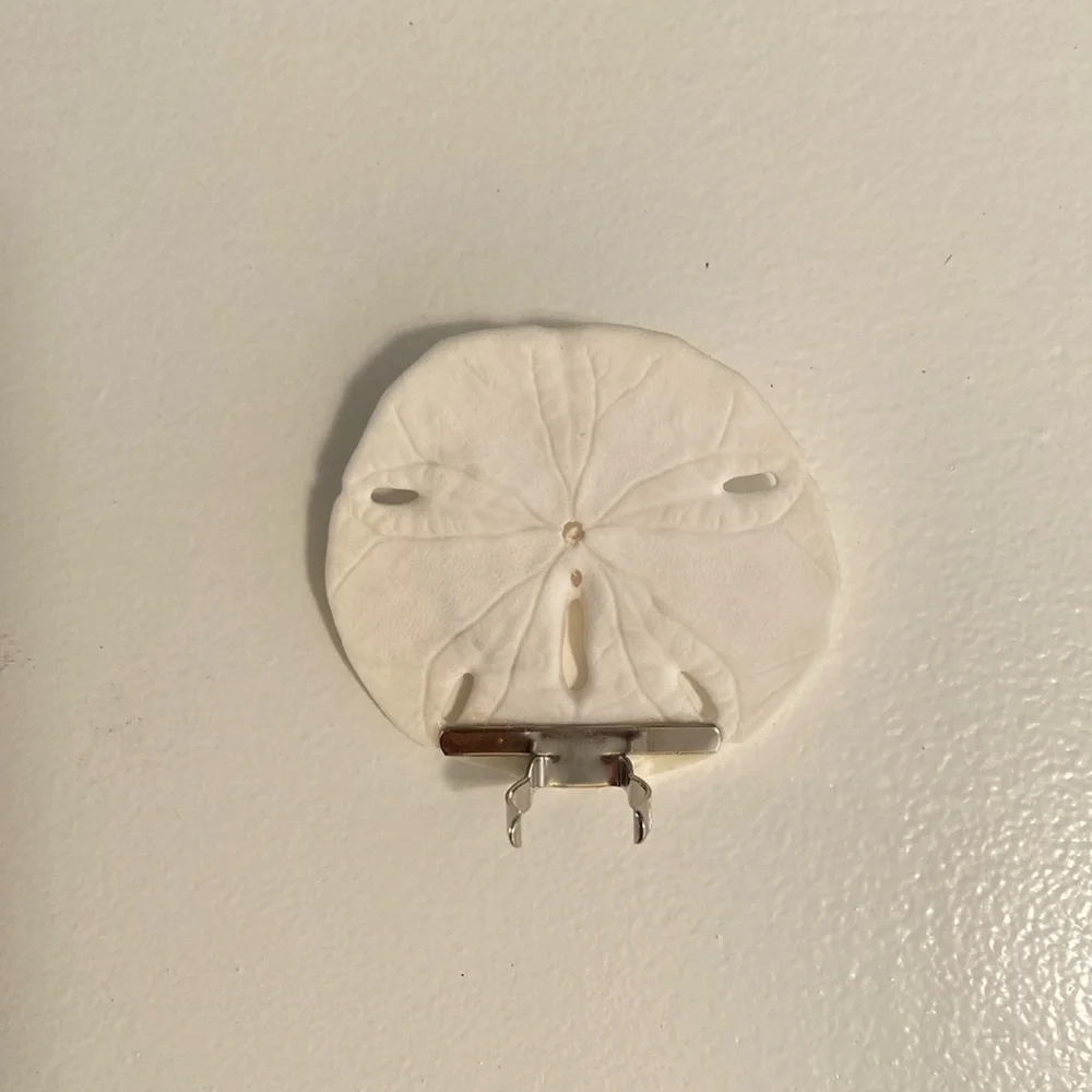 Sand Dollar auto on night light - Picture 5 of 8